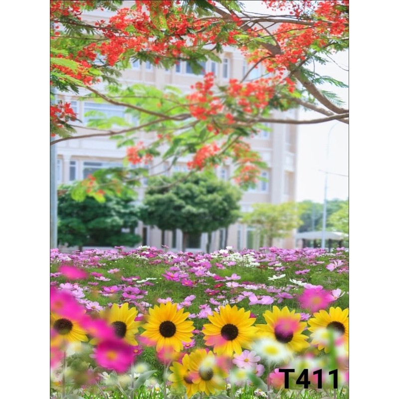 Phông nền chụp ảnh mã t411