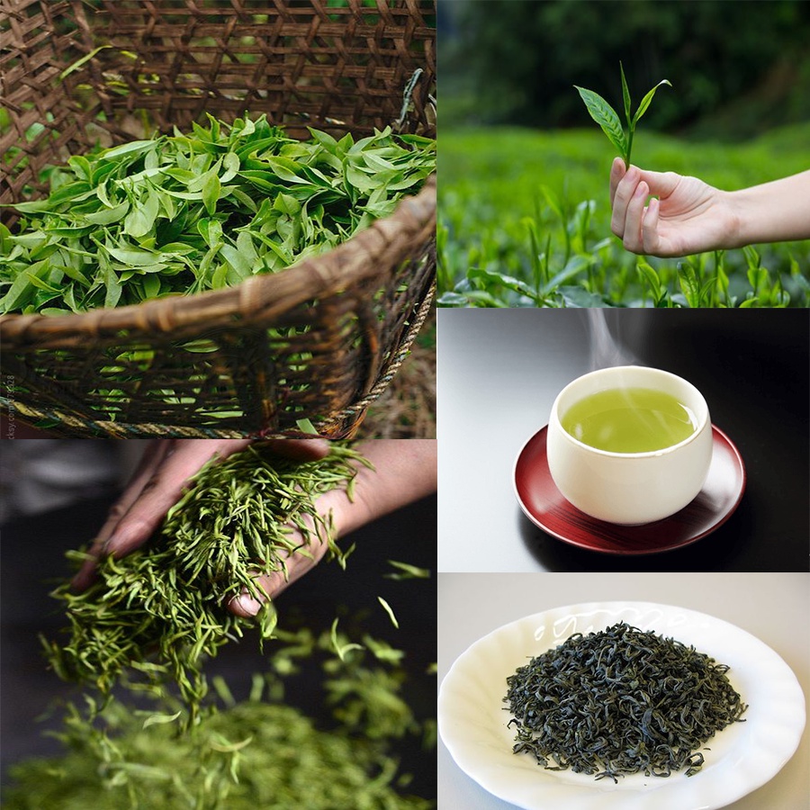 Trà xanh / chè búp Thái Nguyên loại đặc biệt 500g