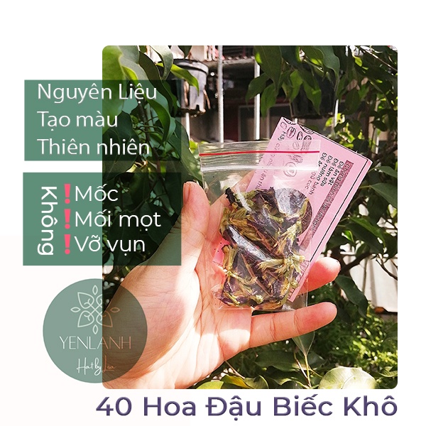 Hoa Đâu Biếc 40 nhành hoa nguyên-10gr nguyên liệu tạo màu thiên nhiên Yenlanhnatural