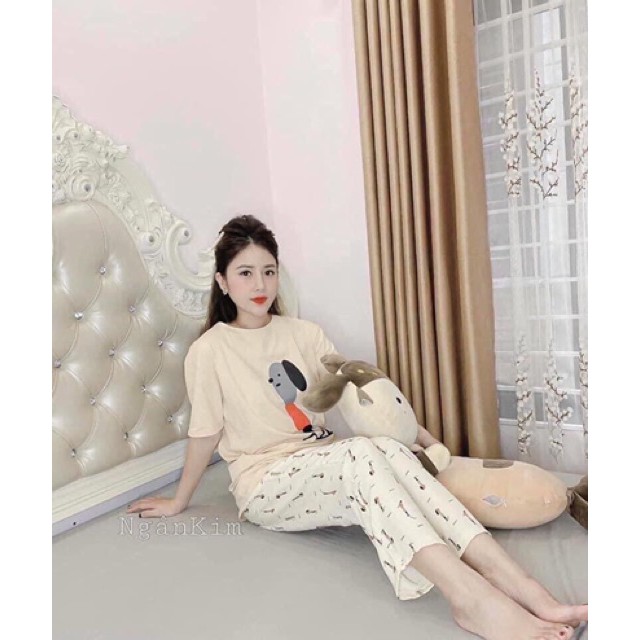 Bộ hoạt hình cotton - bộ áo cộc quần dài hoa hướng dương