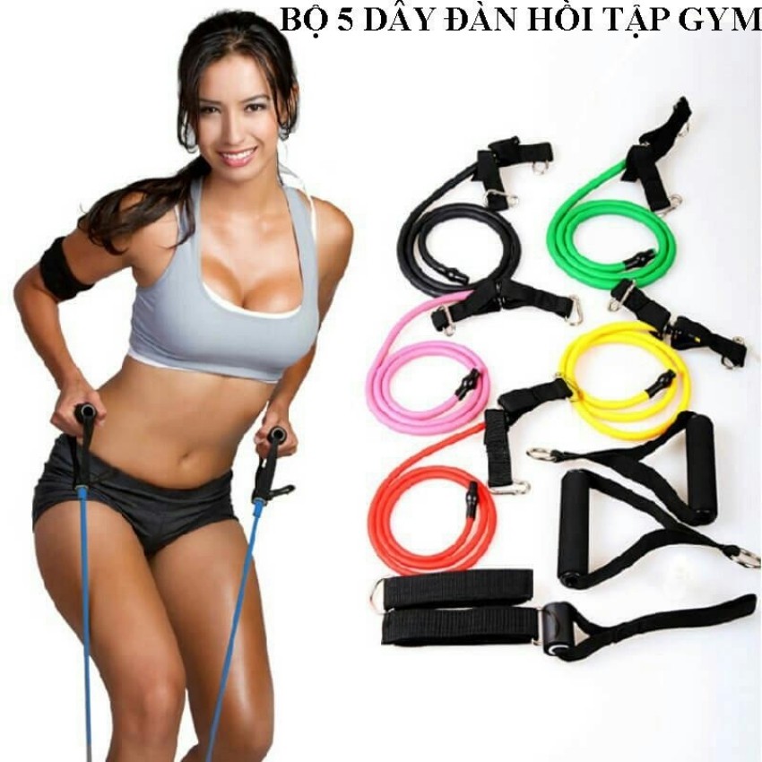 Bộ tập thể dục thể thao dây kéo đàn hồi tập gym ngũ sắc đa năng