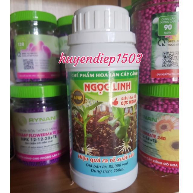Chế phẩm Ngọc Linh siêu ra rễ cực mạnh