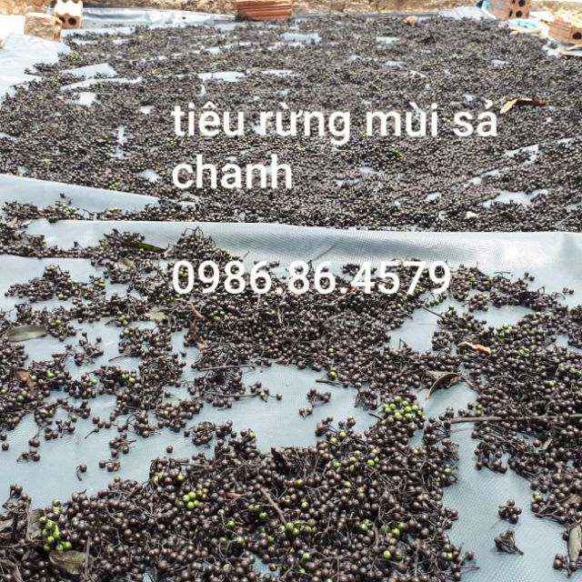 1KgTiêu rừng Kon Tum ( màng tang) hút chân không