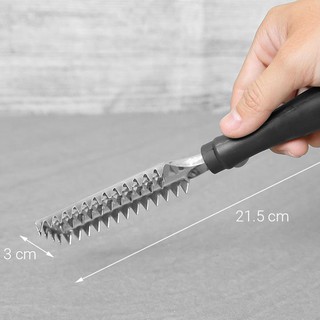 Dụng cụ đánh vẩy cá inox