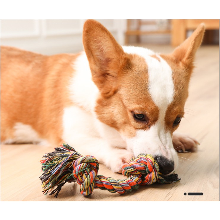 Đồ Chơi Cho Pet Giảm Stress, Đồ Chơi Gặm Cắn Luyện Tập Răng, Đồ Chơi Tương Tác Với Thú Cưng