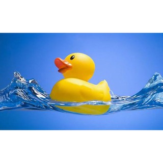 Con vịt cao su bóp kêu chíp chíp đồ chơi thả bồn tắm cho bé