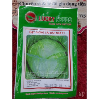 hạt giống cải bắp NFXF1