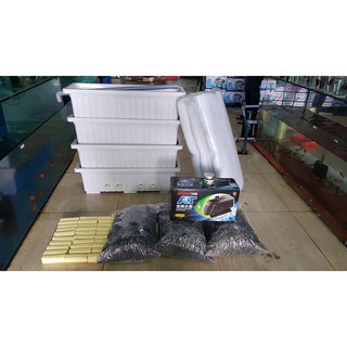 Combo trọn bộ lọc Baki cho hồ kính, hồ xi măng từ 1 - 2 khối không máy bơm