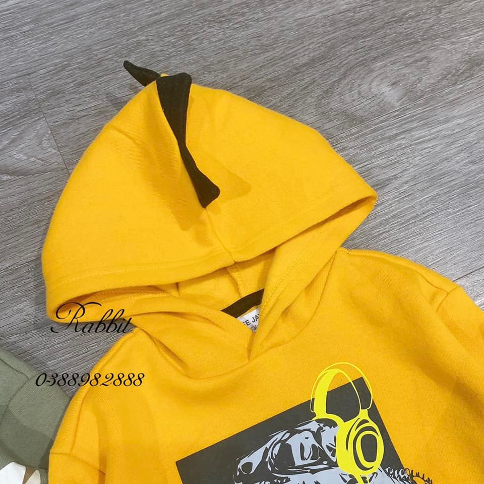 Áo nỉ hoodie