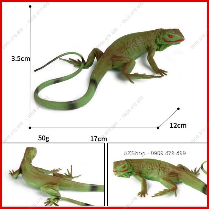 Mô Hình Bò Sát Thằn Lằn Chameleon - Lizzard - Động Vật Size Nhỏ - 7666.6
