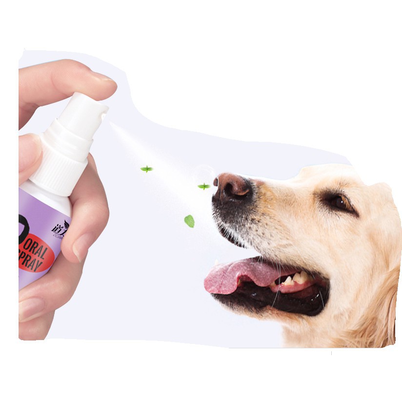 xịt vệ sinh khử mùi hôi răng miệng cho chó mèo ORAL SPRAY PET 120ml benben