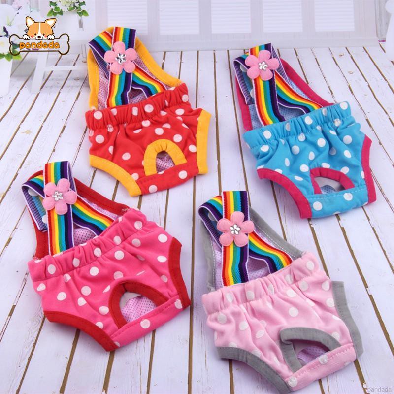 Quần Lót Sinh Lý Cho Thú Cưng