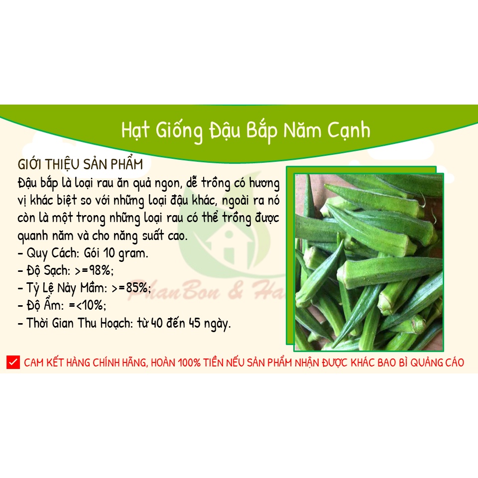 Hạt Giống Đậu Bắp 5 Cạnh , Đậu Bắp PN816 - Phú Nông Seeds - Gói 10g