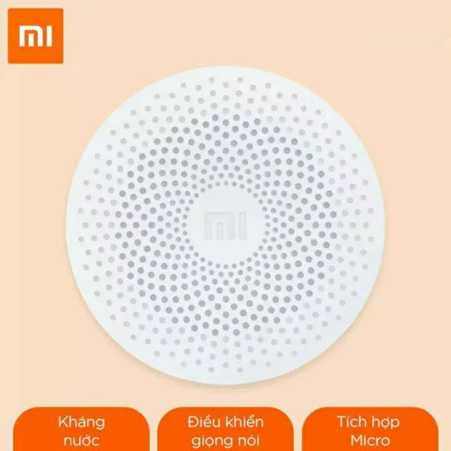 Loa Bluetooth Mini Xiaomi 2019 hoặc loa XiaoAI 2020.