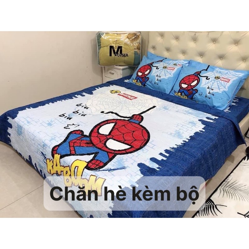 Bộ Ga Gối Cotton Poly 5D - Người Nhện