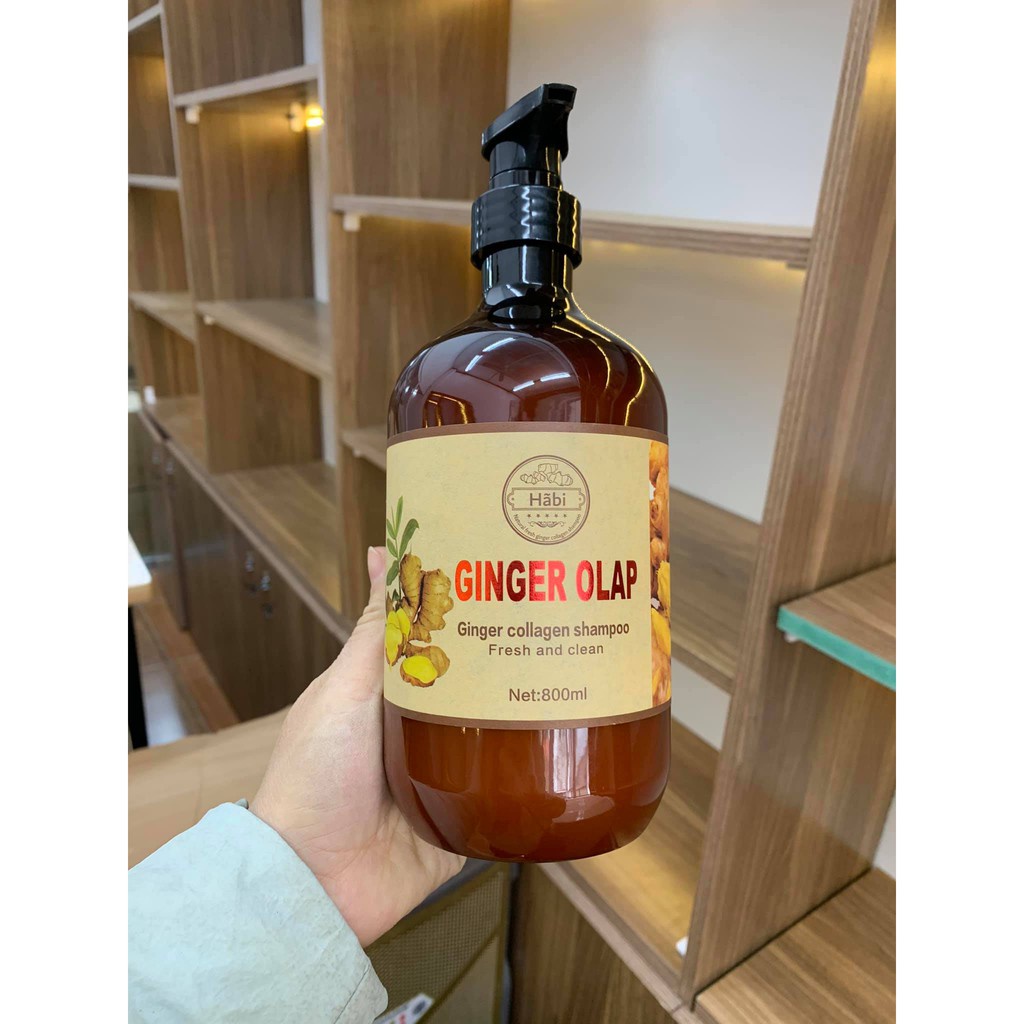 Cặp Dầu Gội Xả Gừng tươi Ginger Olap 800ml x2