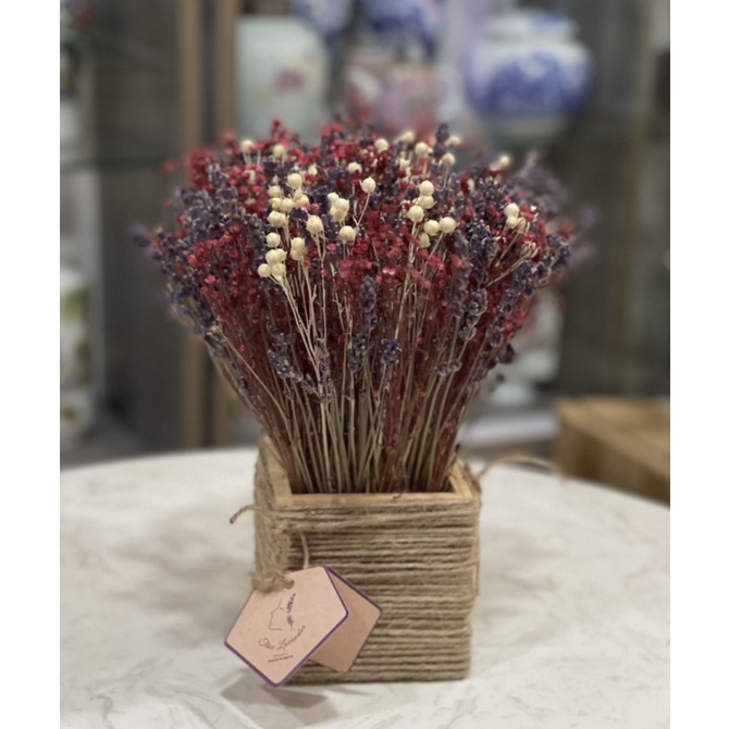 Giỏ hoa Lavender cắm mid Bloom, Linum