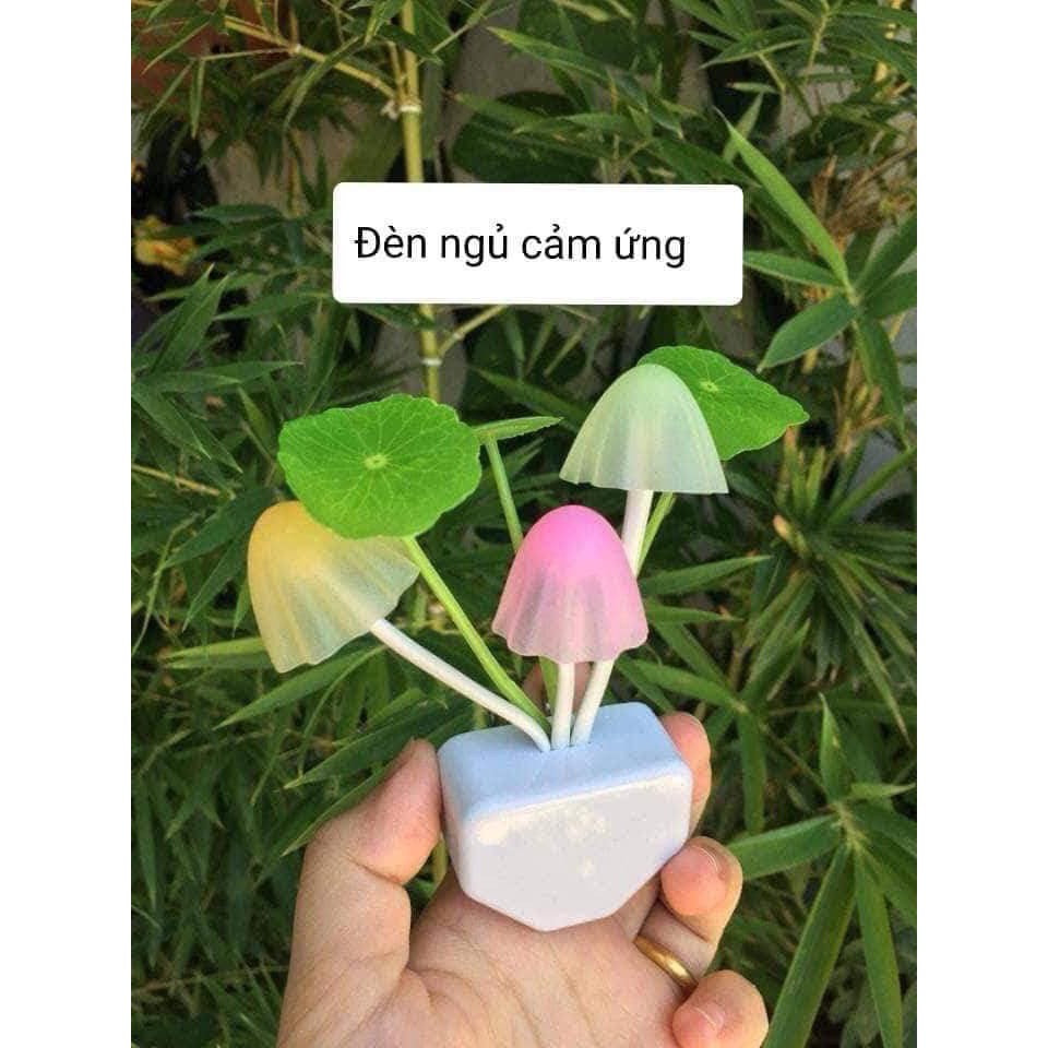 ĐÈN NGỦ NẤM CẢM ỨNG TỰ ĐỘNG PHÁT SÁNG