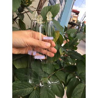 cóng thuỷ tinh-cóng thuỷ tinh mào,khuyên