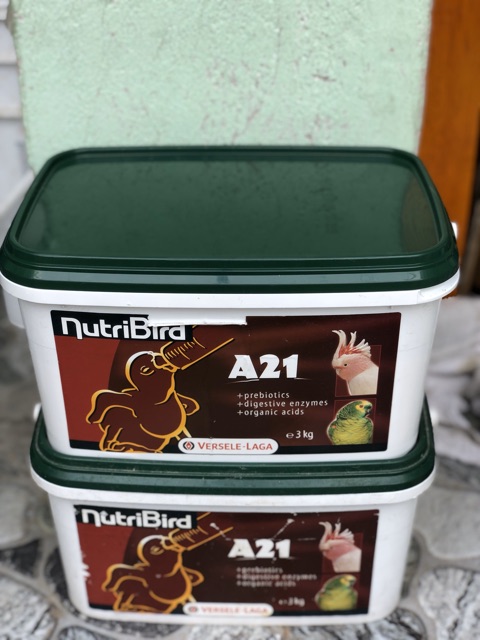 [Hoả tốc] Bột NutriBird A21 giàu dinh dưỡng cho vẹt non - XUẤT XỨ: BỈ_date 3/2023.