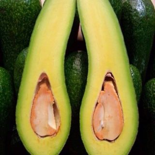 Cây bơ 034, trái dài