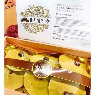 Nấm linh chi vàng cam hộp cô gái Hàn Quốc 1kg