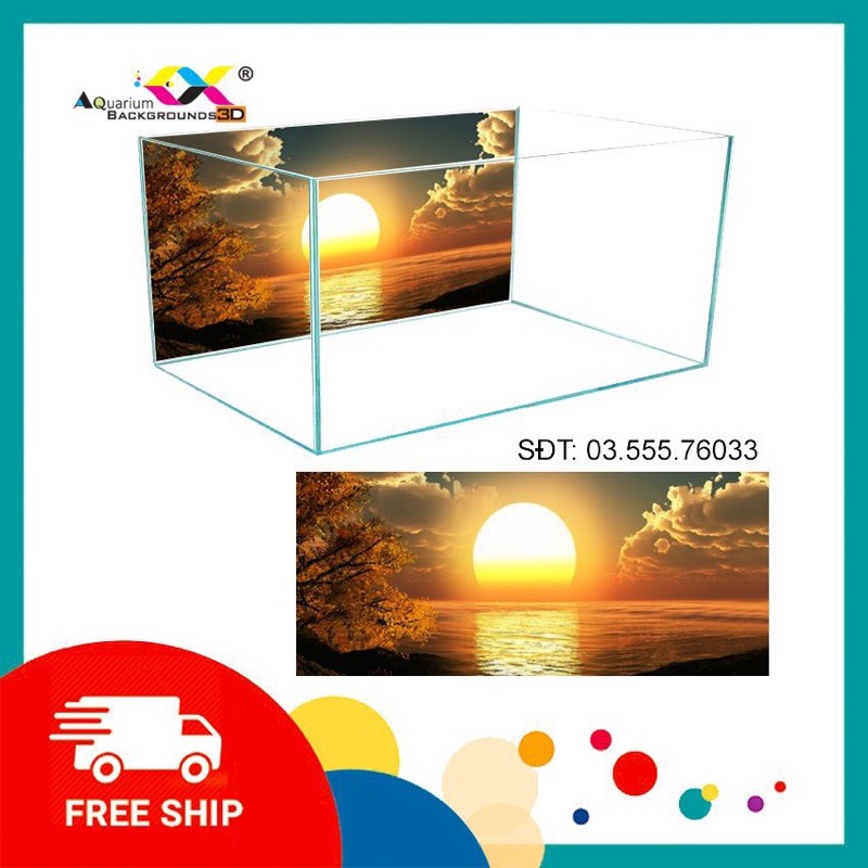 Tranh 3D dán hồ cá cảnh bình minh, siêu đẹp, có keo sẵn trên bề mặt, có thể in theo kích thước yêu cầu