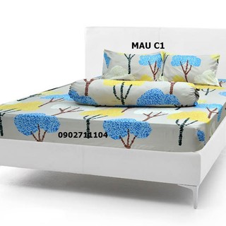 bộ ga giường cotton cao cấp