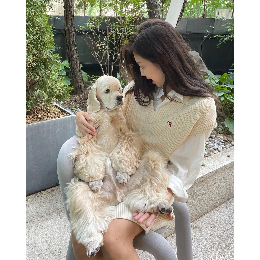 Áo Sweater Dệt Kim Cổ Chữ V Màu Be Hàng Mới