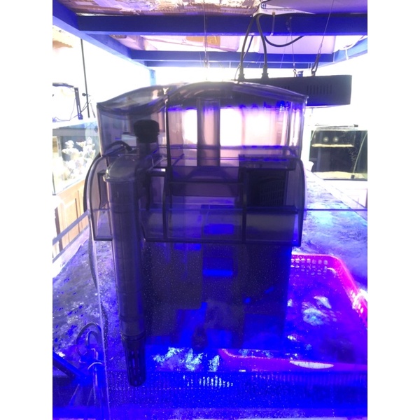 Skimmer kiêm lọc thác dophin