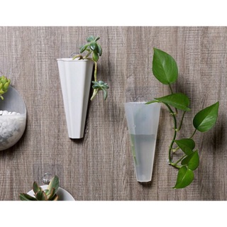 Lọ hoa treo tường (tặng kèm miếng dán)