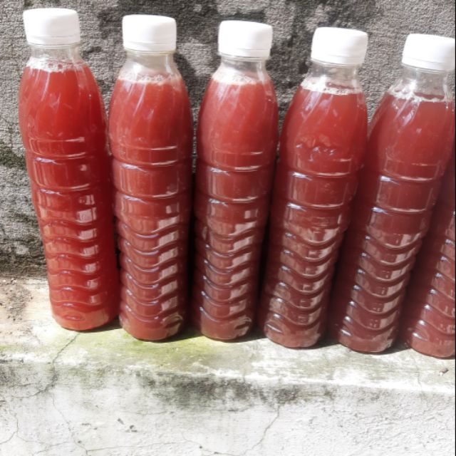 Combo 2 chai vi khuẩn quang hợp 500ml