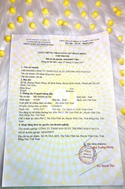 [Tặng quà] Viên Nghệ Osala Chính Hãng | BigBuy360 - bigbuy360.vn