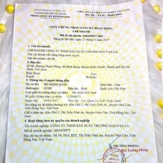 Combo 5Hộp viên tinh bột nghệ Osala