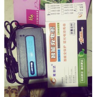 Xạc xe đạp điện