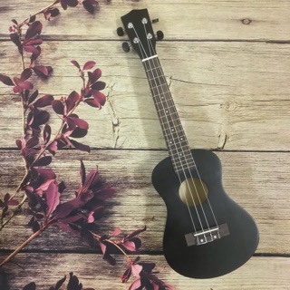 [ GIÁ SẬP SÀN ] ĐÀN UKULELE CONCERT GỖ ĐEN MCOOL