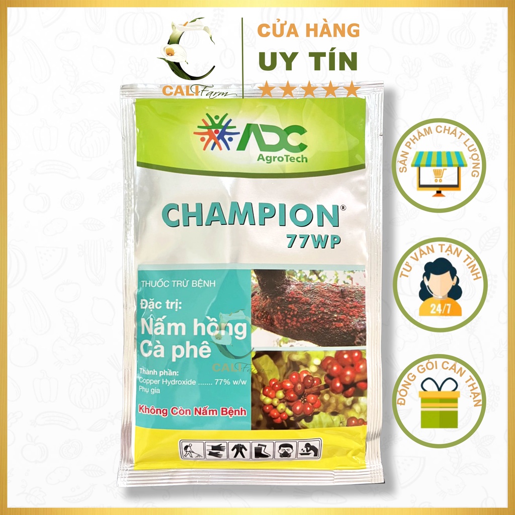 Thuốc đặc trị nấm hồng cho cây hoa mai Champion 100gr