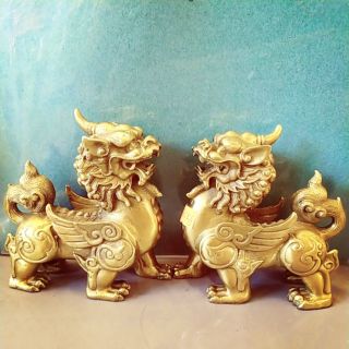 Tỳ hưu phong thủy