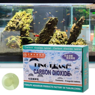 Viên nén CO2 cho bể cá thuỷ sinh ( 20 viên/ gói)