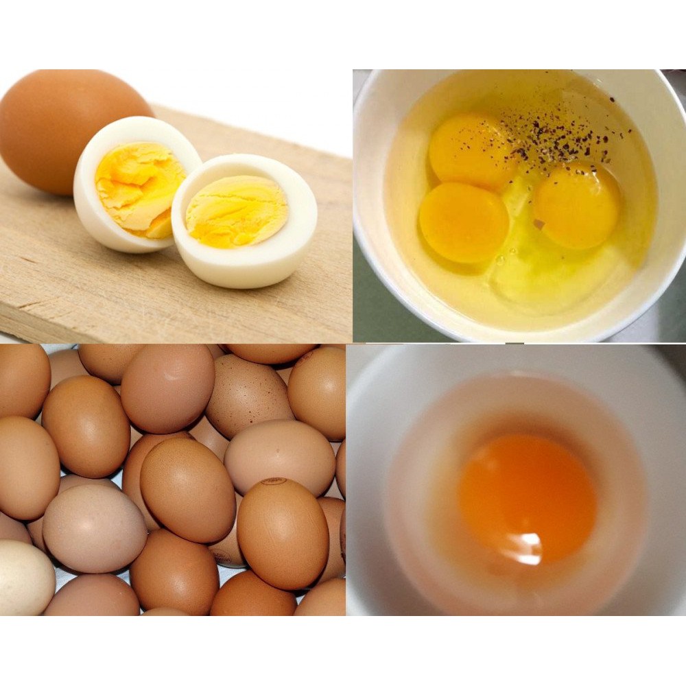 Trứng Gà Công Nghiệp Loại 1 - Đã Kiểm Dịch (Chỉ Giao Quận Tân Phú - HCM)