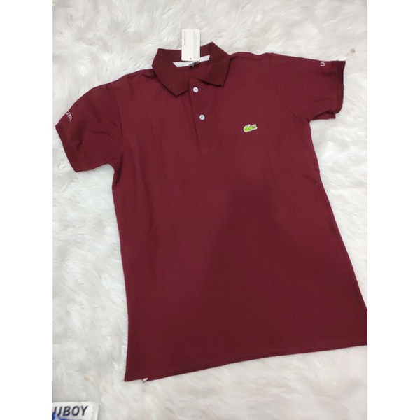 Áo tay ngắn có cổ thun cá sấu dành cho nam sale