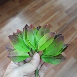 lá mai đất sét