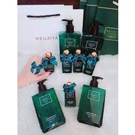 Sữa tắm trứng cá tầm dưỡng ẩm hương nước hoa Weilaiya  312ml - TRINHS.BEAUTY | BigBuy360 - bigbuy360.vn