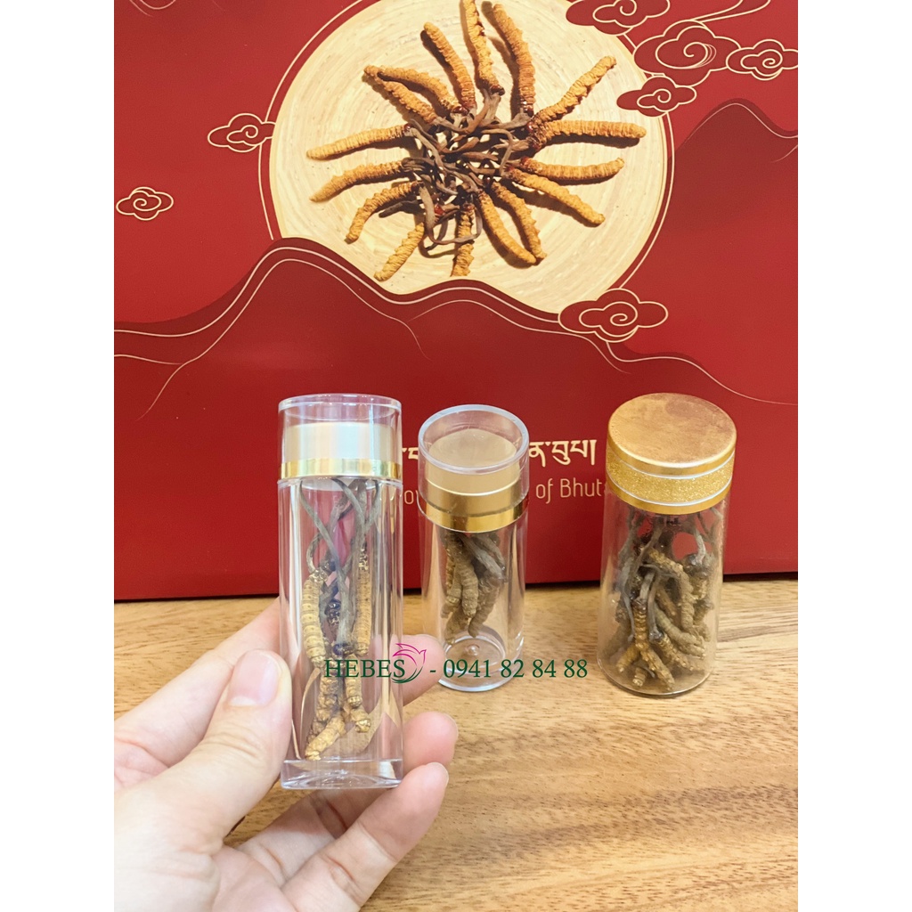 HŨ NHỰA ĐỰNG ĐÔNG TRÙNG HẠ THẢO, SAFFRON