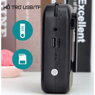 Loa Trợ Giảng SHIDU SD-M100