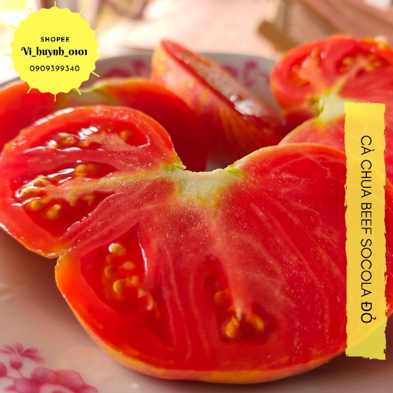 Combo 10 Hạt giống cà chua Beef Flavor Socola đỏ cà múi của Mỹ siêu ngon, quả to dễ trồng và chịu nhiệt tốt