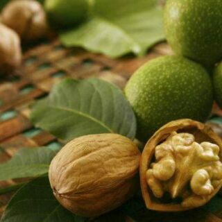 1kg quả óc chó đặc sản sapa