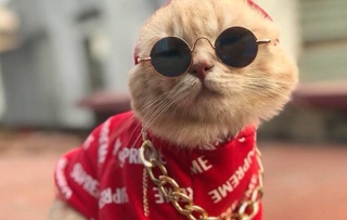 Kính mẮt thứ cưng