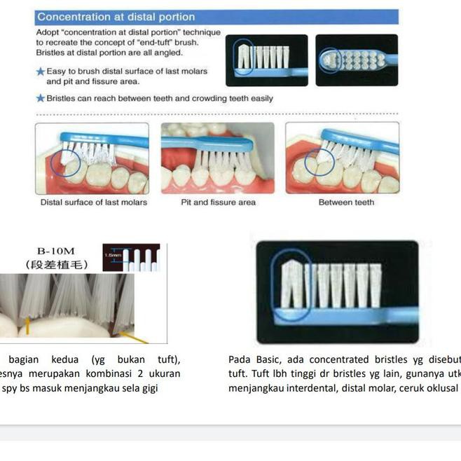 (Hàng Mới Về) Bàn Chải Đánh Răng Ruscello Cơ Bản 10 Cỡ Vừa Cho Nam Nữ