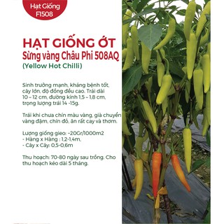 Combo 3 Gói Hạt Giống Ớt Sừng Vàng Châu Phi - Gói 0.1Gr